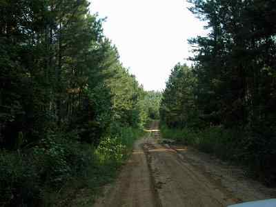 Advance Land and Timber Land for sale property_imgs/32_1.jpg