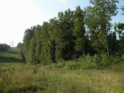 Advance Land and Timber Land for sale property_imgs/32_3.jpg