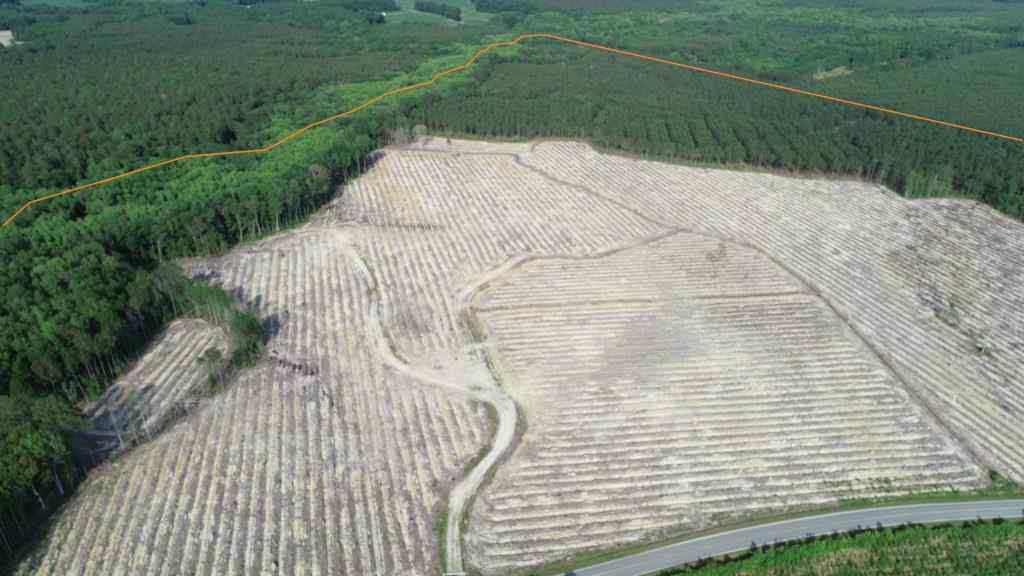 Advance Land and Timber Land for sale property_imgs/32~5.jpg