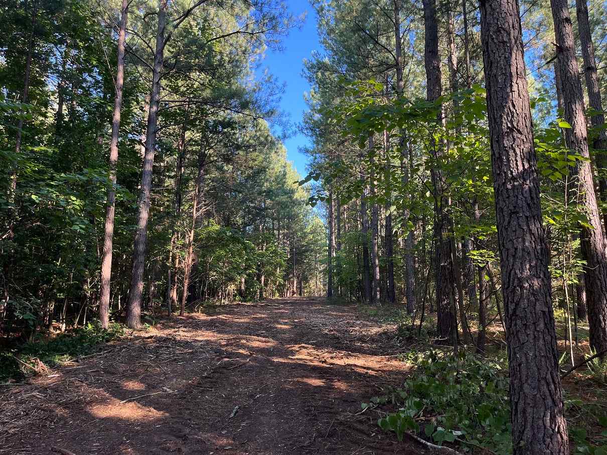 Advance Land and Timber Land for sale property_imgs/333943ff8a14617d66ea94ec176fc787_1857.jpg