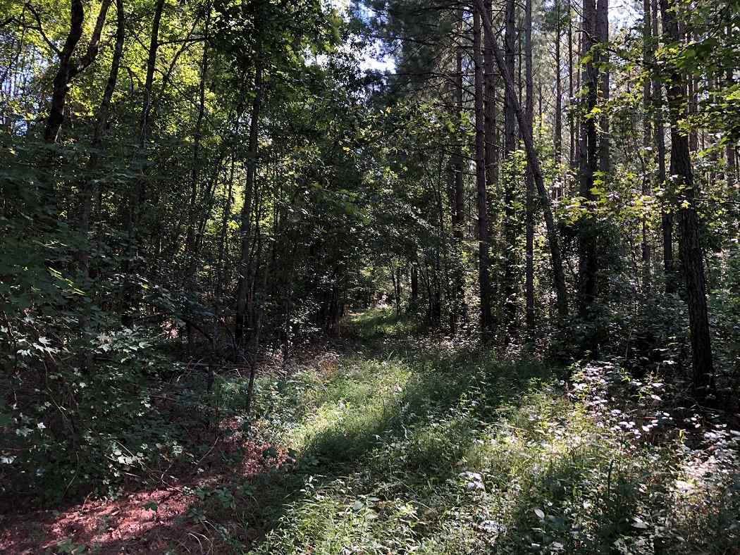 Advance Land and Timber Land for sale property_imgs/333cb763facc6ce398ff83845f224d62_1853.jpg