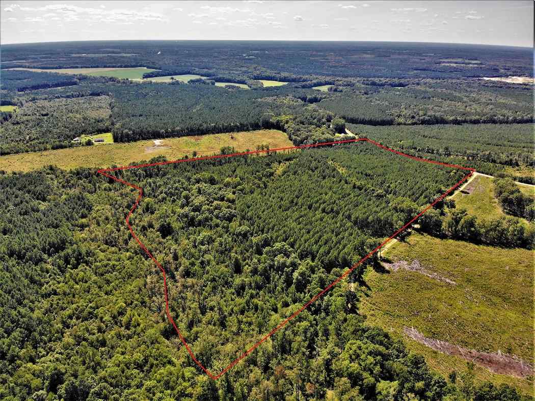 Advance Land and Timber Land for sale property_imgs/33cc2b872dfe481abef0f61af181dfcf_1853.jpg