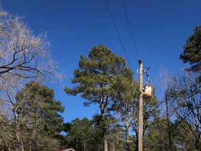 Advance Land and Timber Land for sale property_imgs/343.jpg