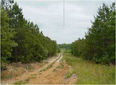 Advance Land and Timber Land for sale property_imgs/36_2.jpg