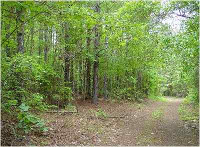 Advance Land and Timber Land for sale property_imgs/36_4.jpg