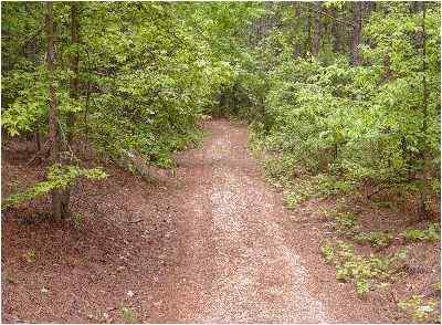 Advance Land and Timber Land for sale property_imgs/36_5.jpg