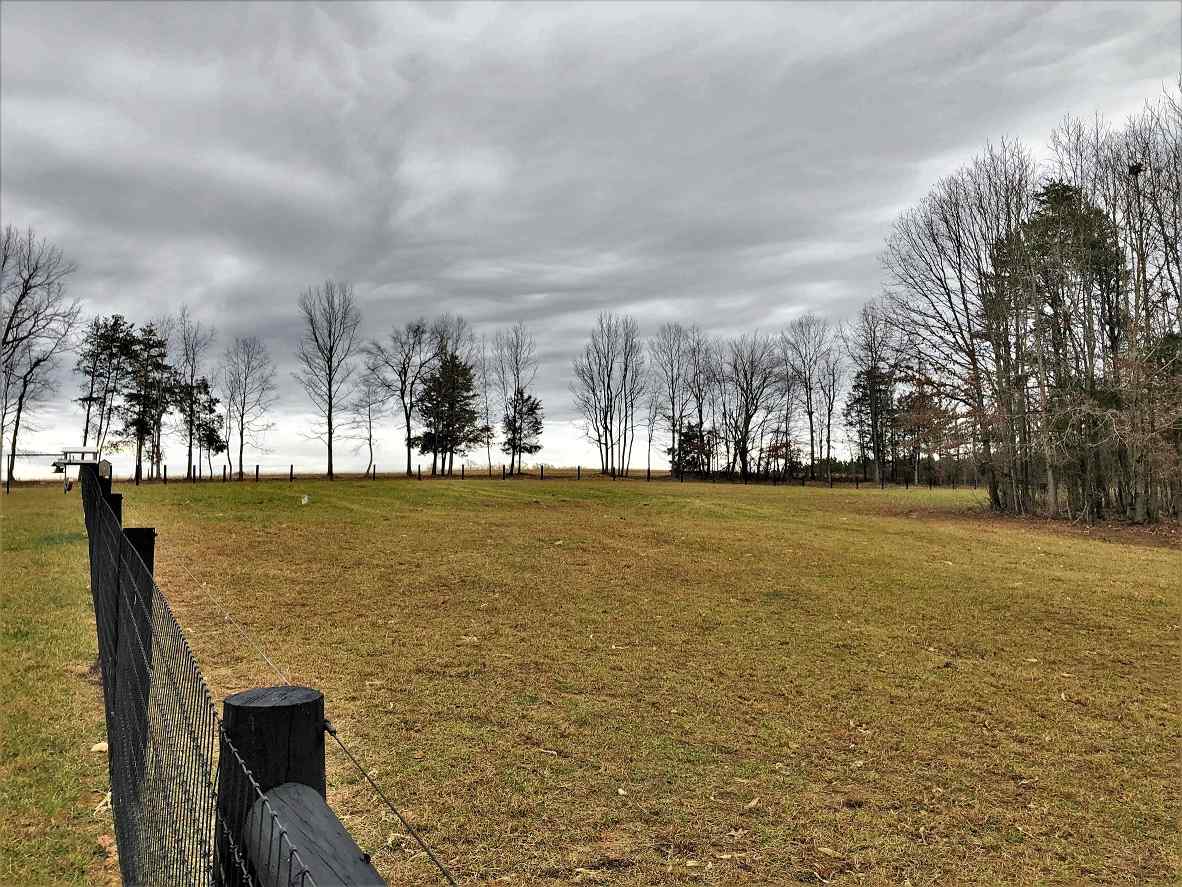 Advance Land and Timber Land for sale property_imgs/38~9.jpg