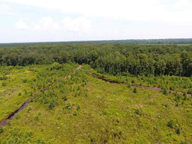 Advance Land and Timber Land for sale property_imgs/3b92d18aa7a6176dd37d372bc2f1eb71_1891.jpg