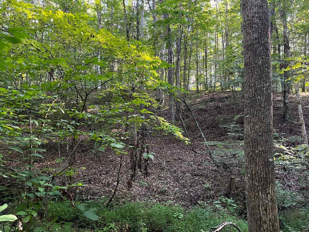 Advance Land and Timber Land for sale property_imgs/3c51419c5607de9699da15be1274b4a6_1857.jpg