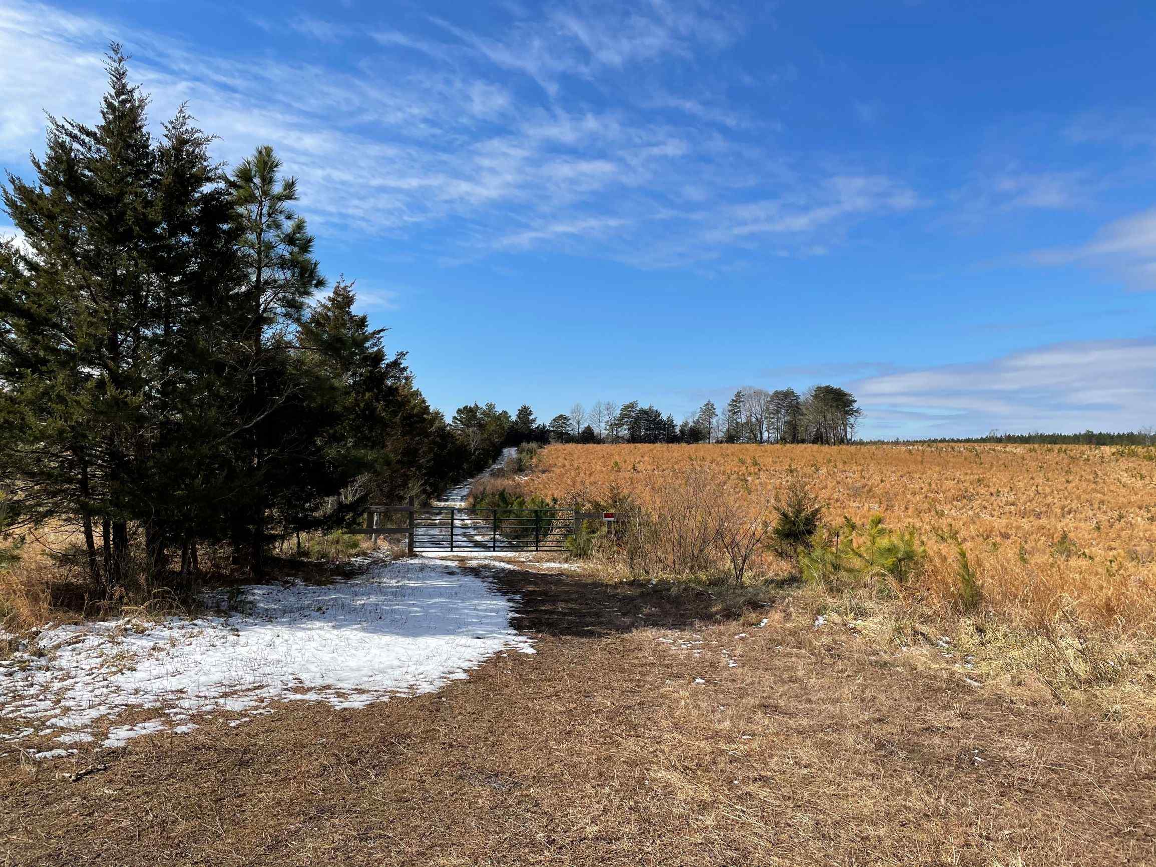 Advance Land and Timber Land for sale property_imgs/3~108.jpg