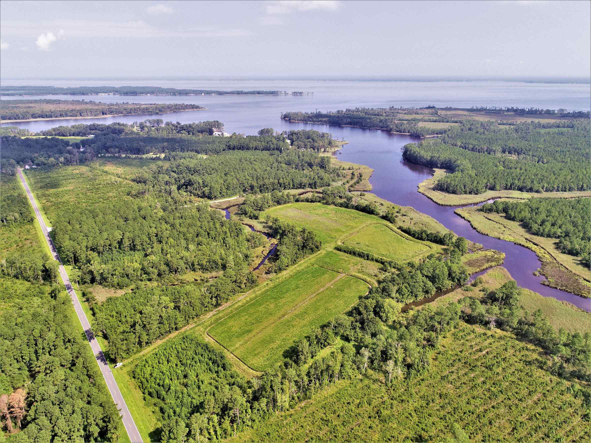 Advance Land and Timber Land for sale property_imgs/3~142.jpg
