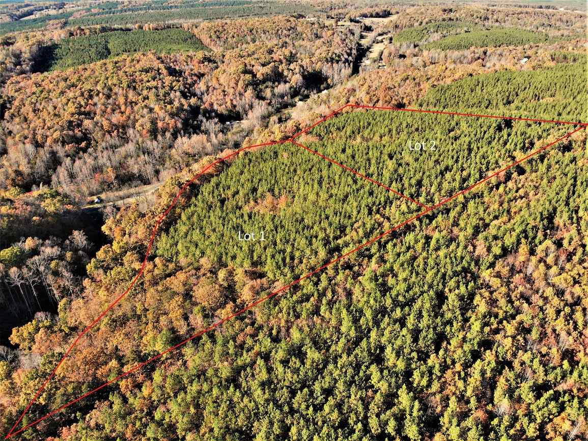 Advance Land and Timber Land for sale property_imgs/3~151.jpg