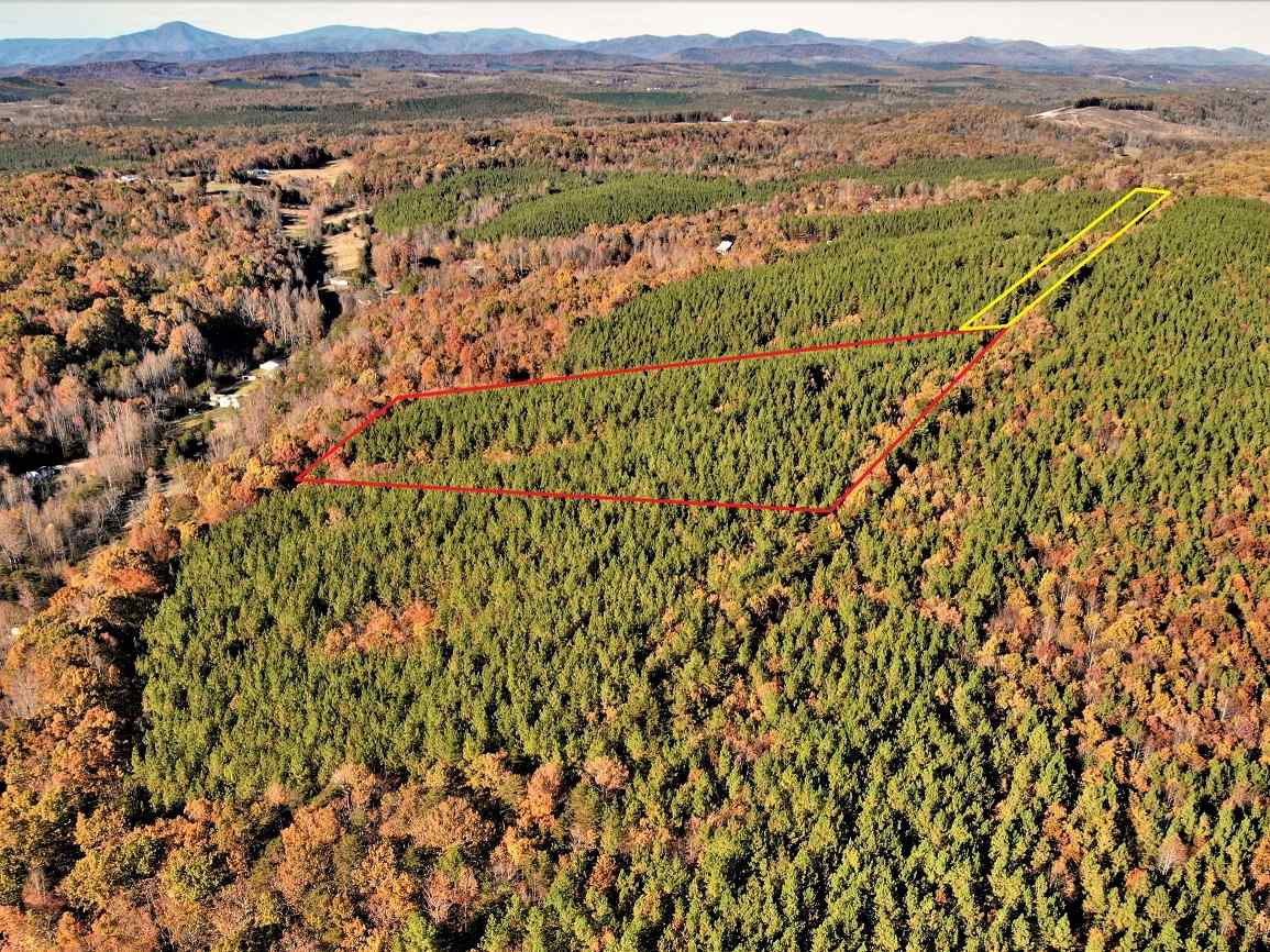 Advance Land and Timber Land for sale property_imgs/3~153.jpg