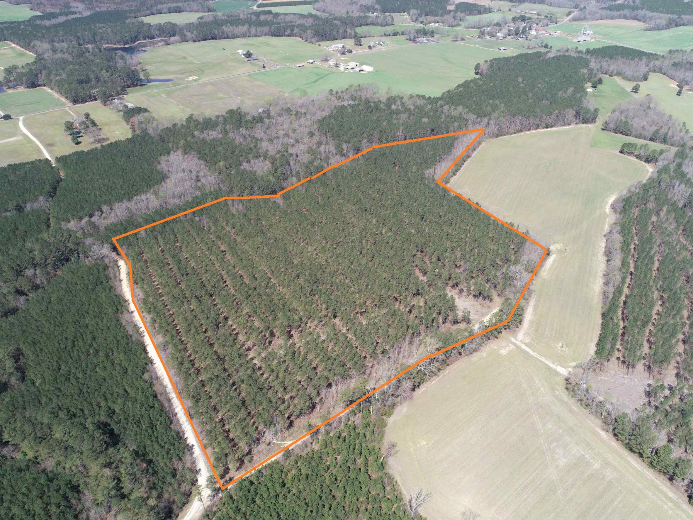 Advance Land and Timber Land for sale property_imgs/3~176.jpg