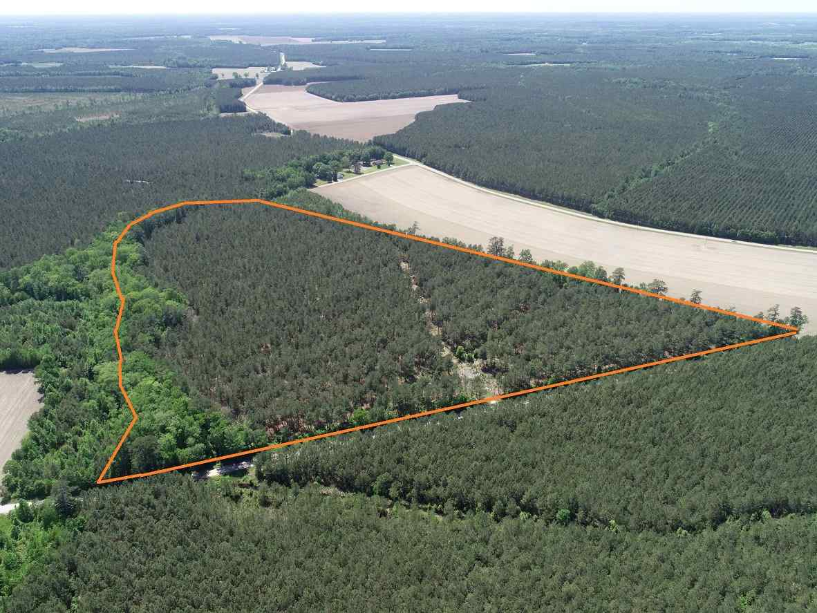 Advance Land and Timber Land for sale property_imgs/3~192.jpg