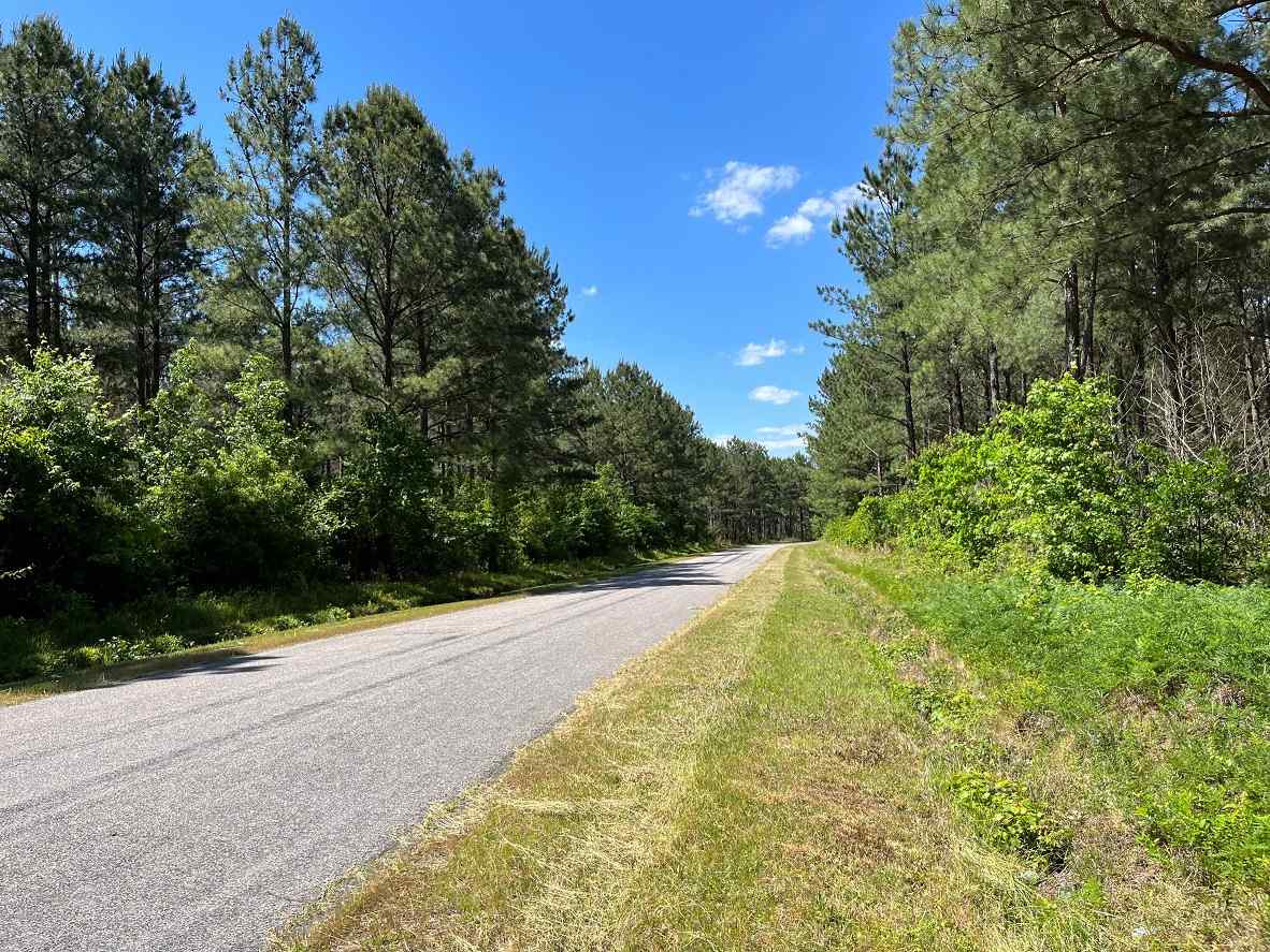 Advance Land and Timber Land for sale property_imgs/3~193.jpg