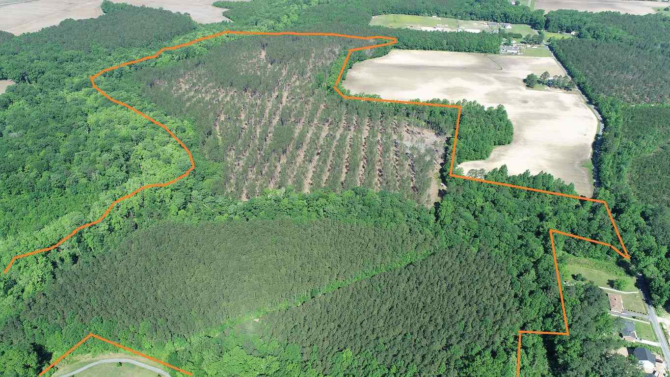 Advance Land and Timber Land for sale property_imgs/3~194.jpg