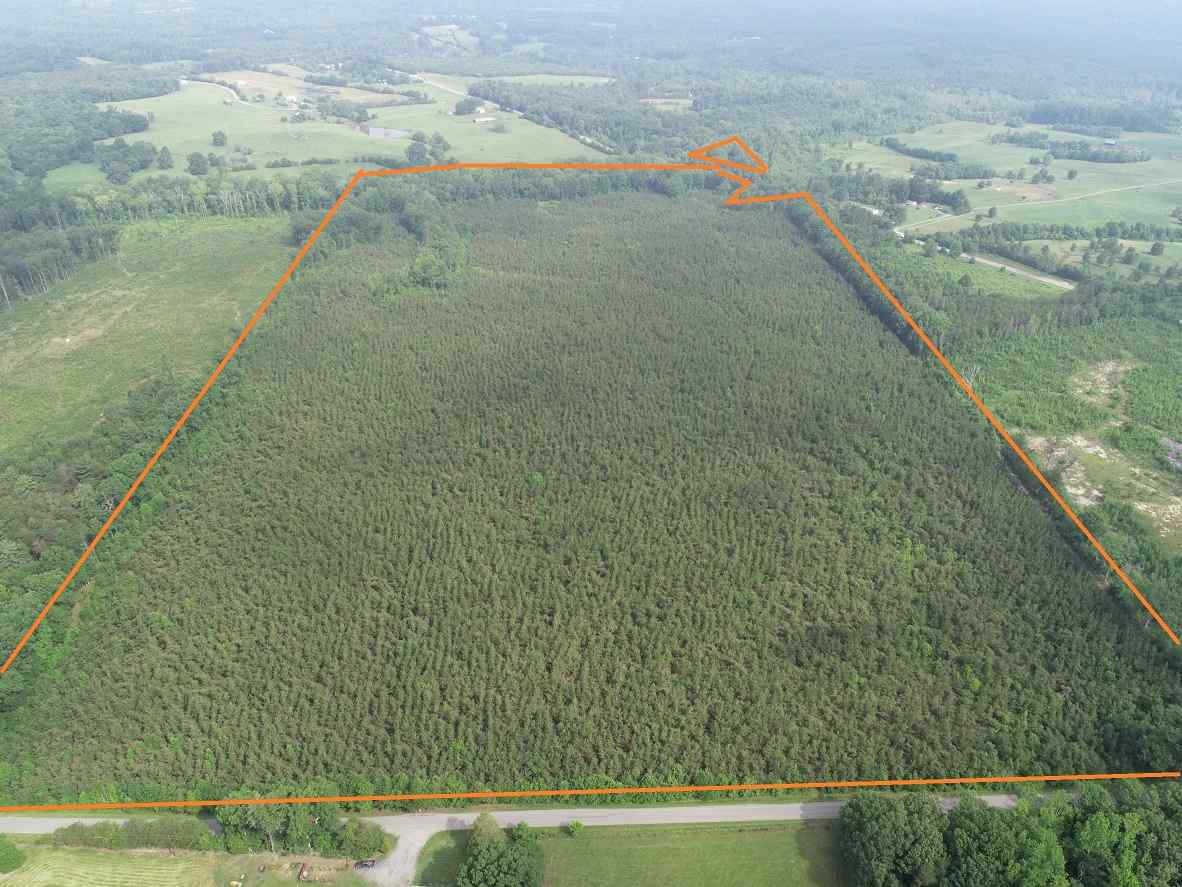 Advance Land and Timber Land for sale property_imgs/3~212.jpg