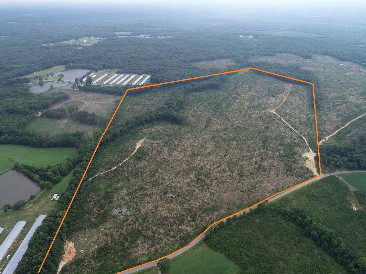 Advance Land and Timber Land for sale property_imgs/3~217.jpg