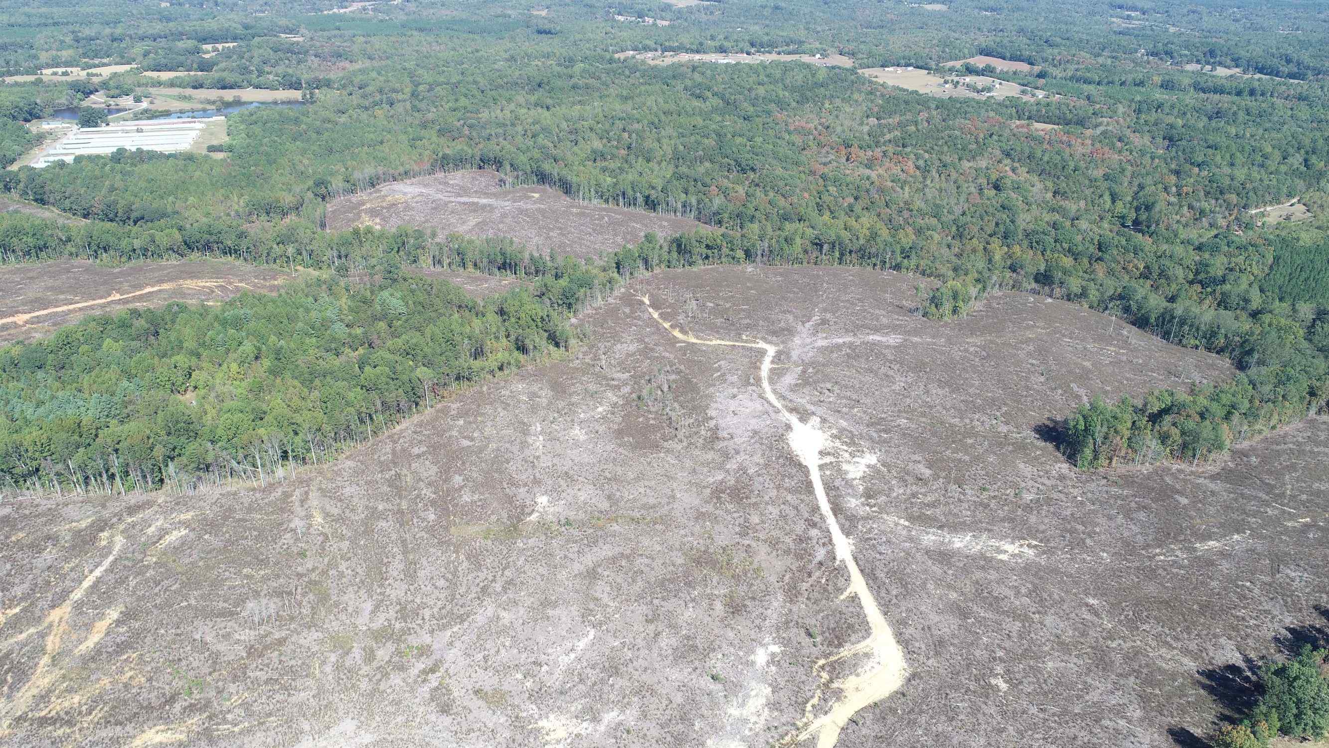Advance Land and Timber Land for sale property_imgs/3~67.jpg