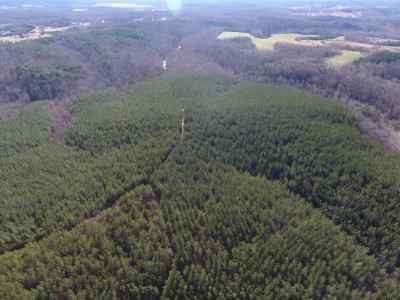 Advance Land and Timber Land for sale property_imgs/417.jpg