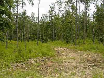 Greenville County South Carolina Land for Sale