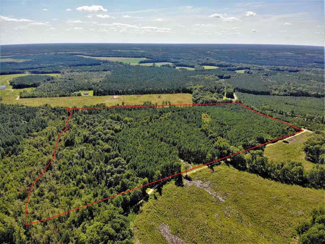 Advance Land and Timber Land for sale property_imgs/42d6c7d61481d1c21bd1635f59edae05_1853.jpg