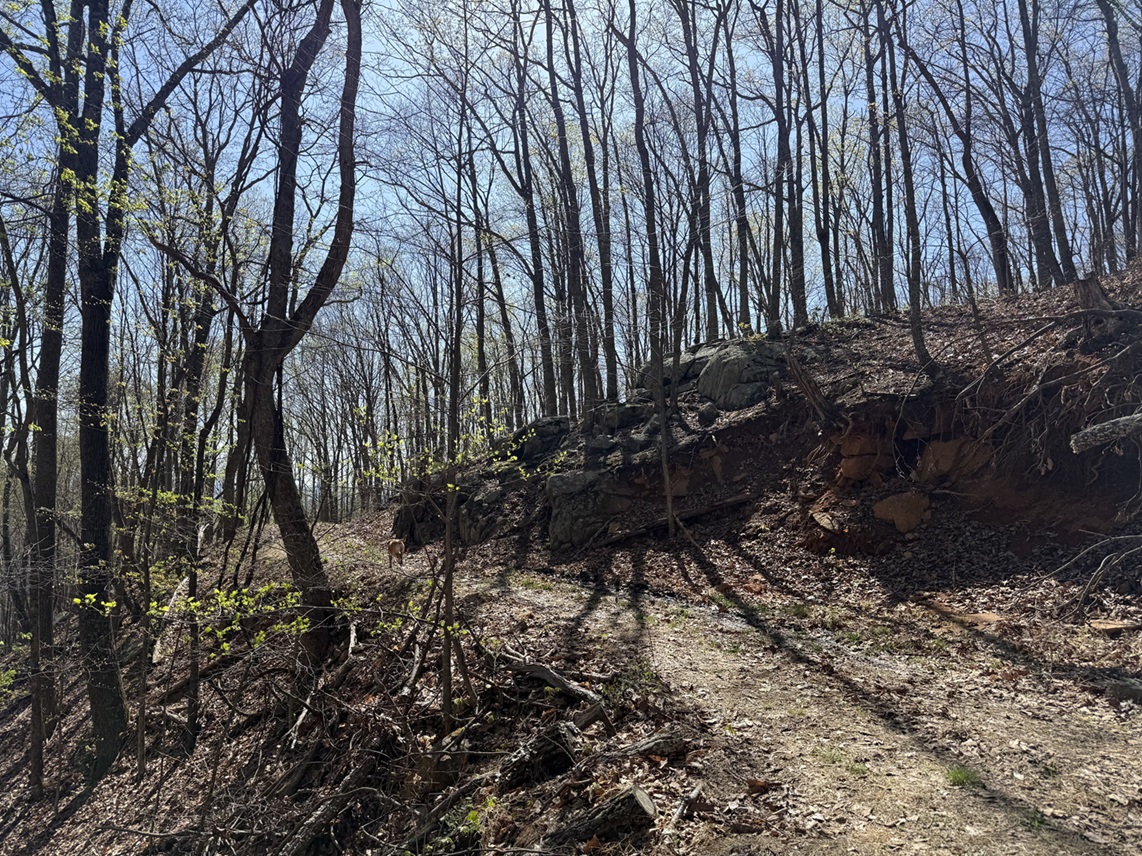 Advance Land and Timber Land for sale property_imgs/440e7c3eb9bbcd4c33c3535354a51605_2251.jpeg