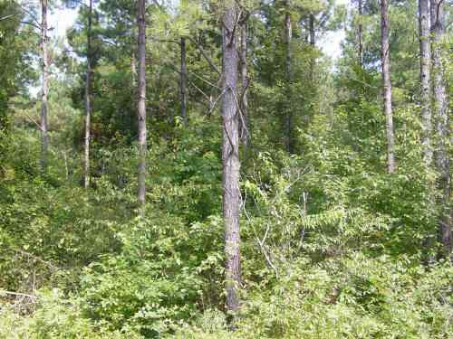 Anderson County South Carolina Land for Sale