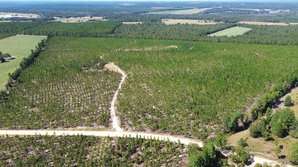 Advance Land and Timber Land for sale property_imgs/453fadbd8a1a3af50a9df4df899537b5_2332.jpg