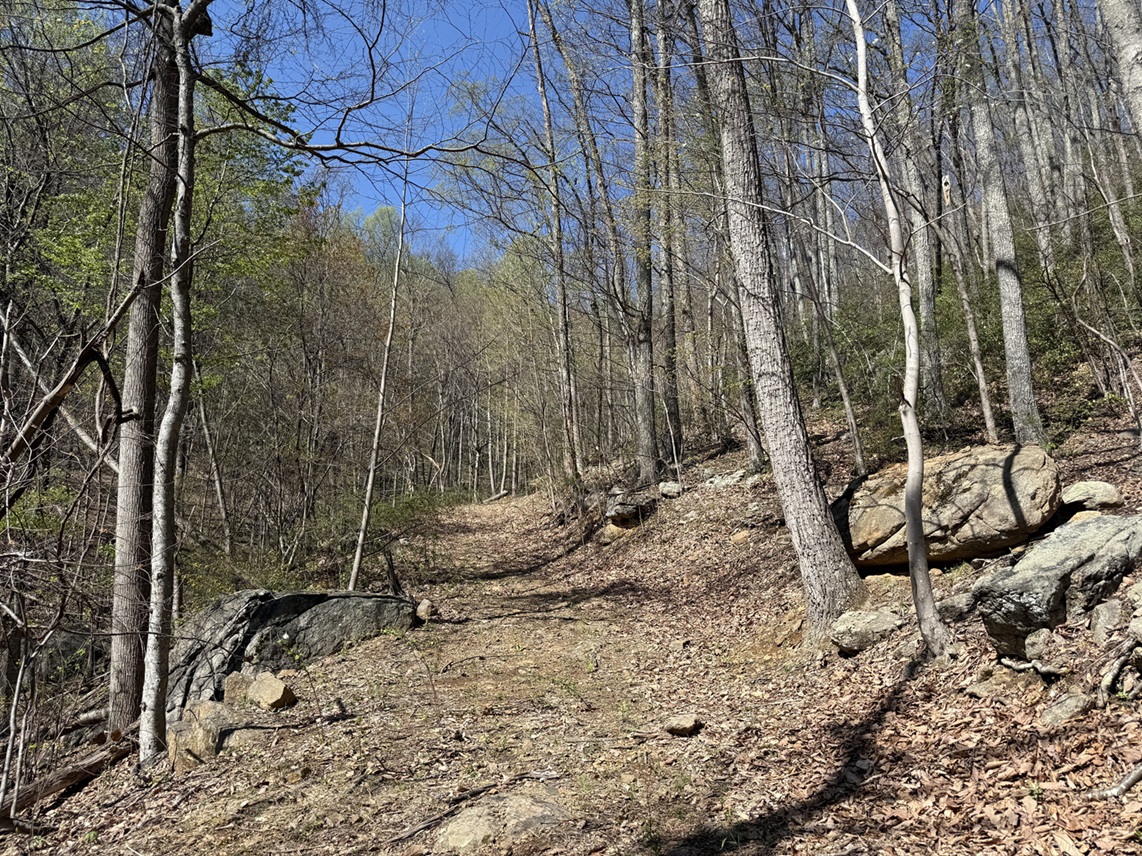 Advance Land and Timber Land for sale property_imgs/4639475d6782a08c1e964f9a4329a254_2251.jpeg