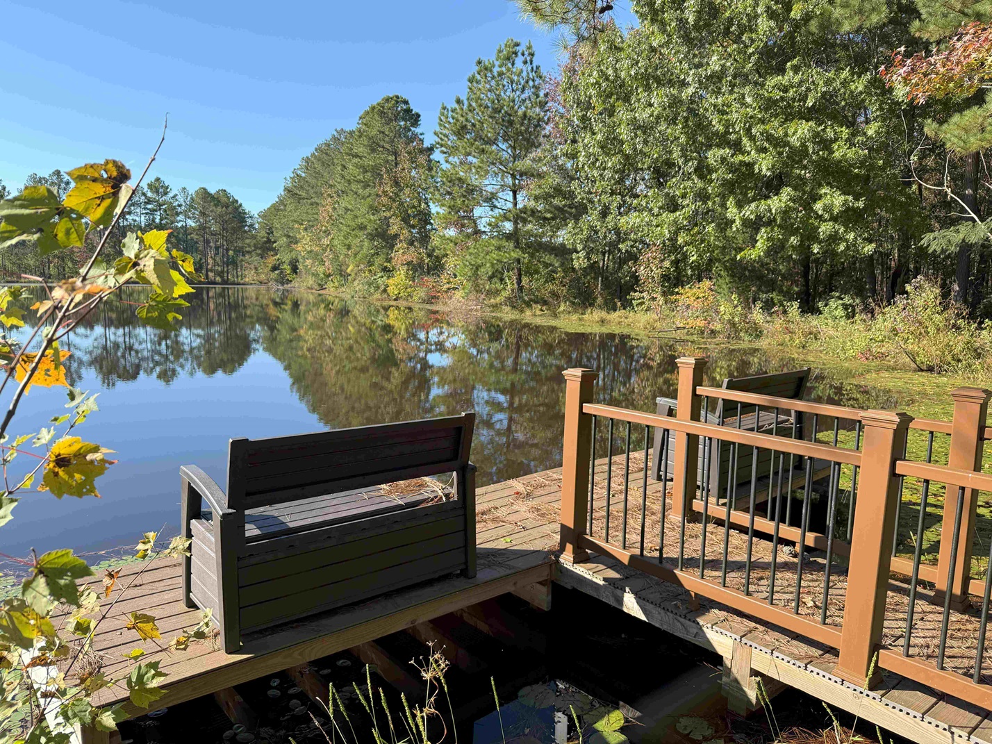 Advance Land and Timber Land for sale property_imgs/49265d2447bc3bbfe9e76306ce40a31f_2154.jpg