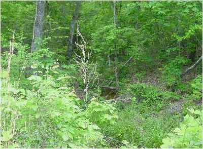 Moore County North Carolina Land for Sale