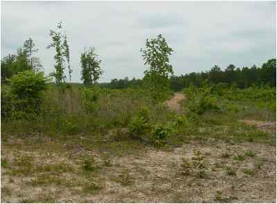 Advance Land and Timber Land for sale property_imgs/49_5.jpg
