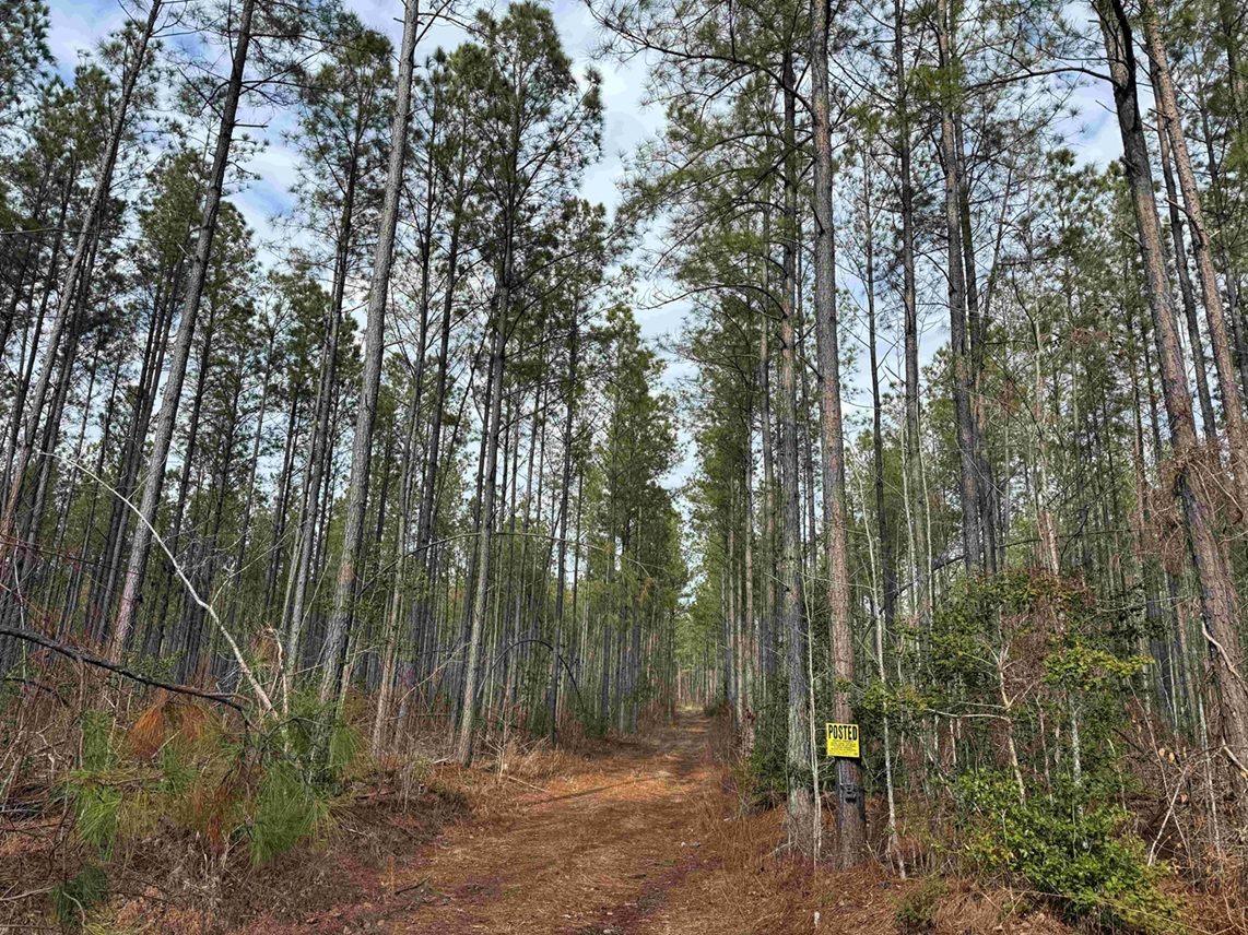 Richmond County Virginia Land for Sale