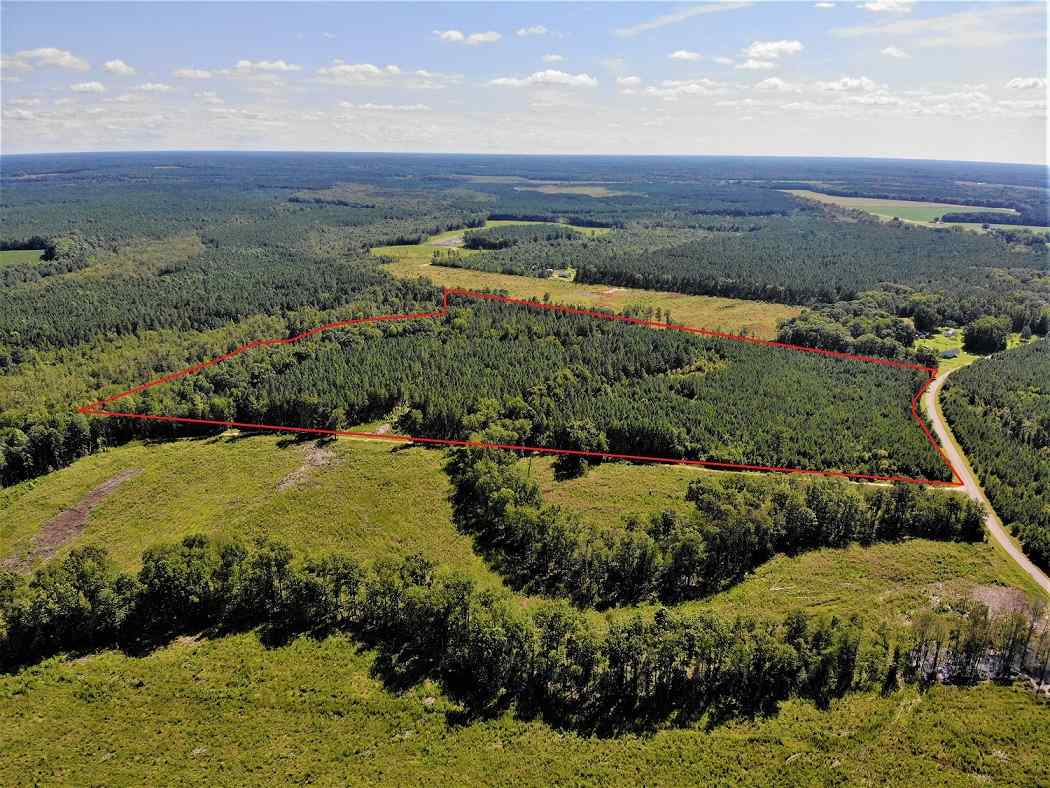 Advance Land and Timber Land for sale property_imgs/4e093aa7417fe0881bc5fbda7322a74e_1853.jpg