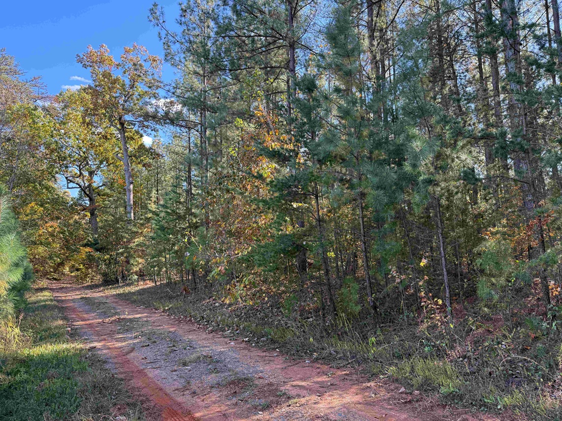 Fluvanna County Virginia Land for Sale