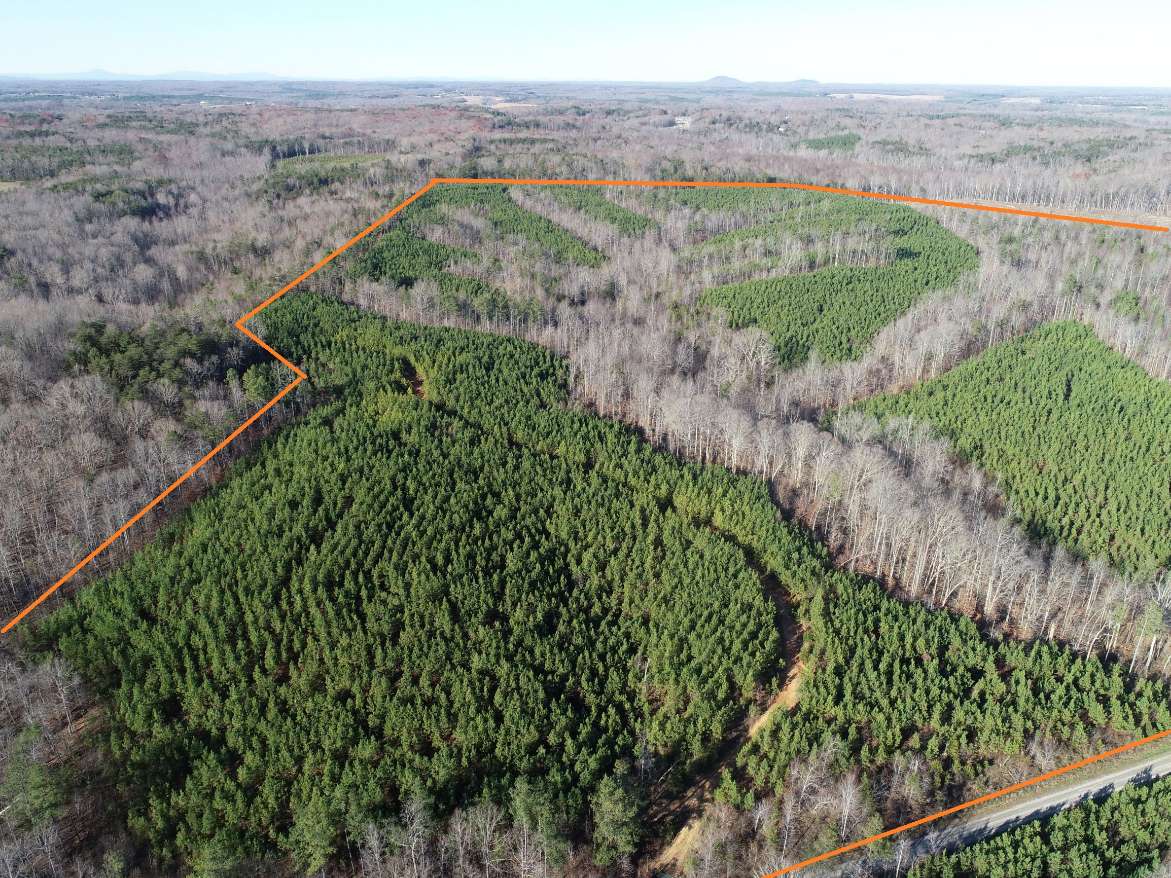 Advance Land and Timber Land for sale property_imgs/4~101.jpg