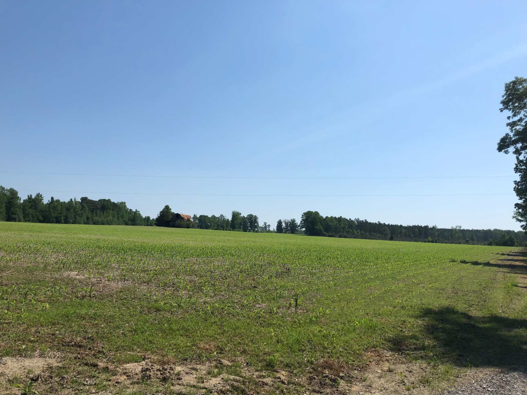 Advance Land and Timber Land for sale property_imgs/4~11.jpg