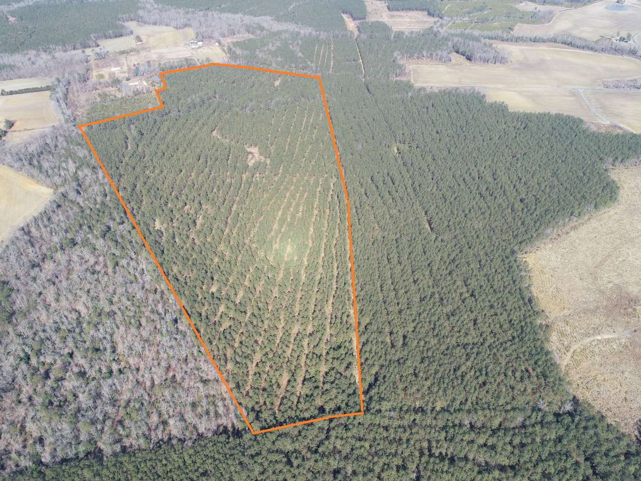 Advance Land and Timber Land for sale property_imgs/4~113.jpg
