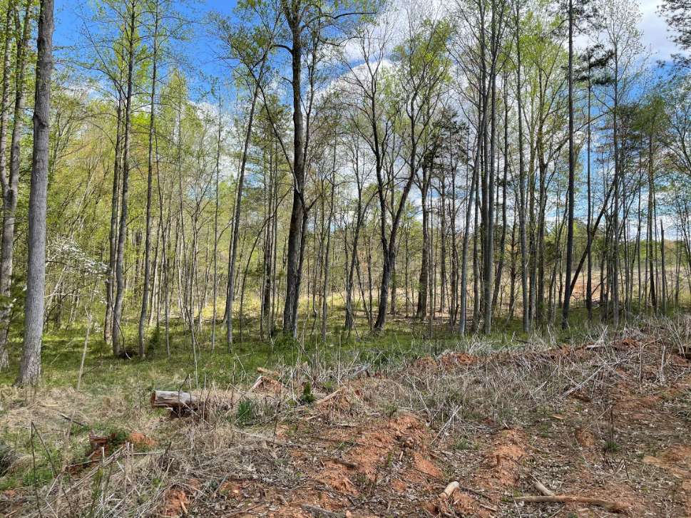 Advance Land and Timber Land for sale property_imgs/4~127.jpg