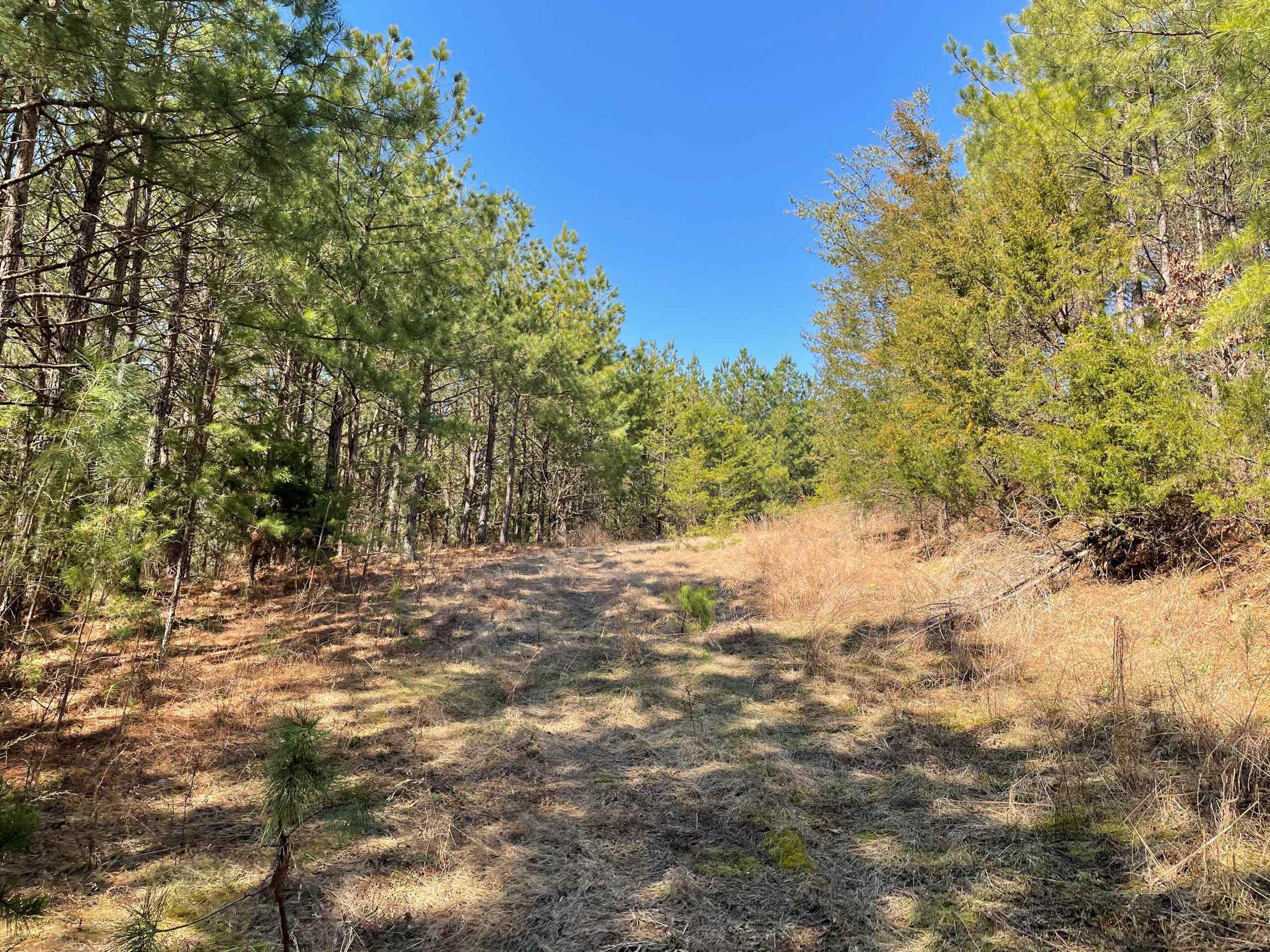 Advance Land and Timber Land for sale property_imgs/4~129.jpg