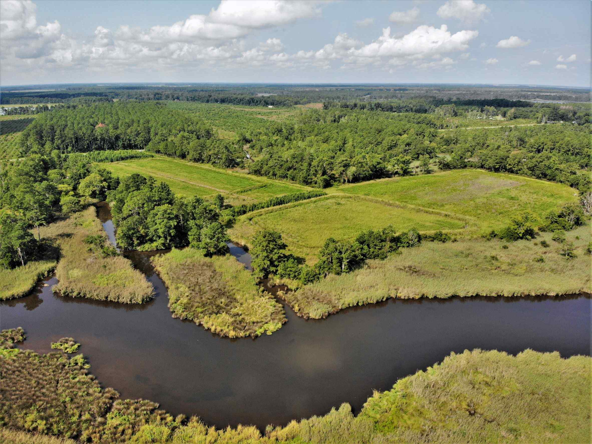 Advance Land and Timber Land for sale property_imgs/4~140.jpg