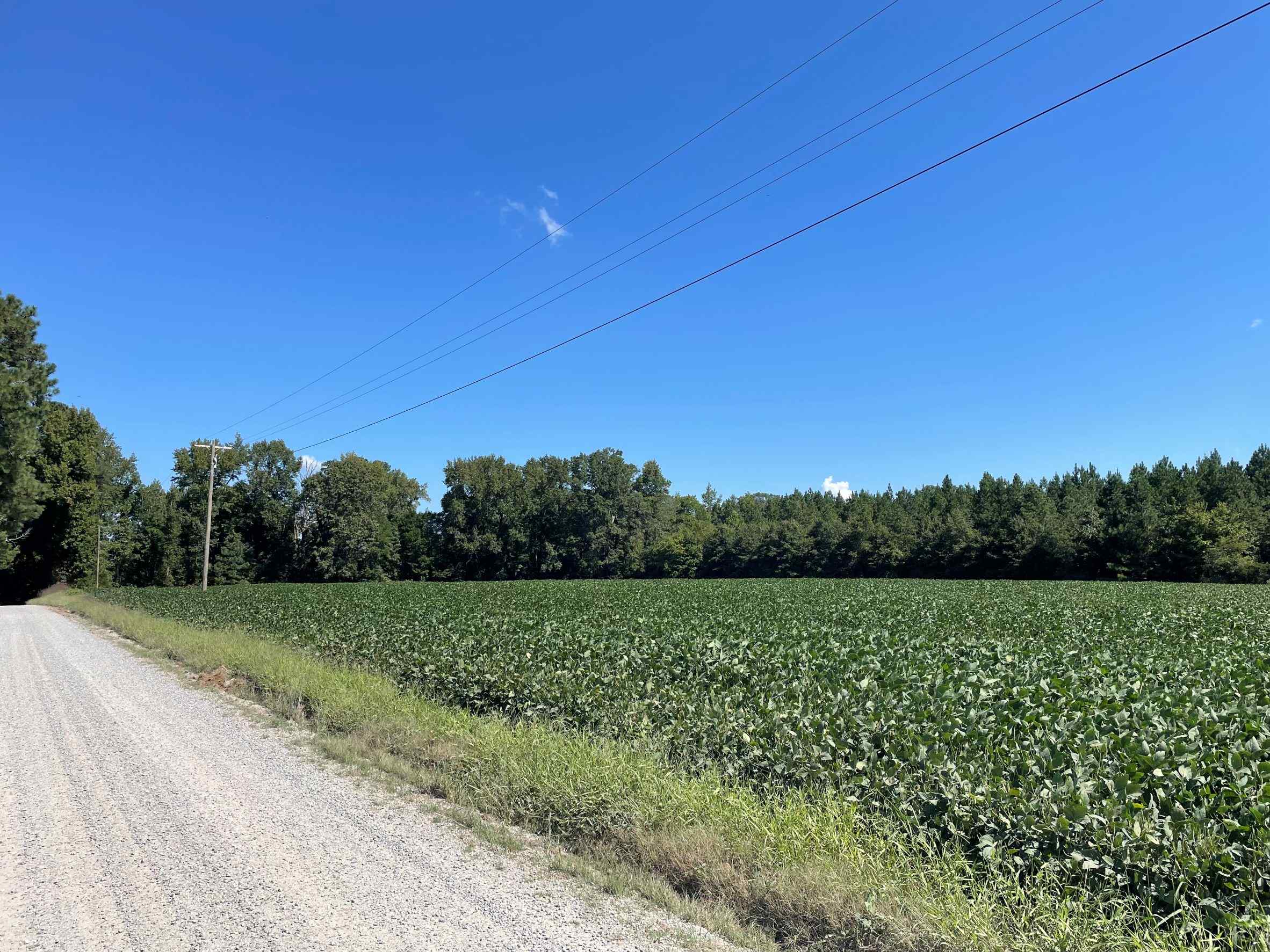 Advance Land and Timber Land for sale property_imgs/4~143.jpg