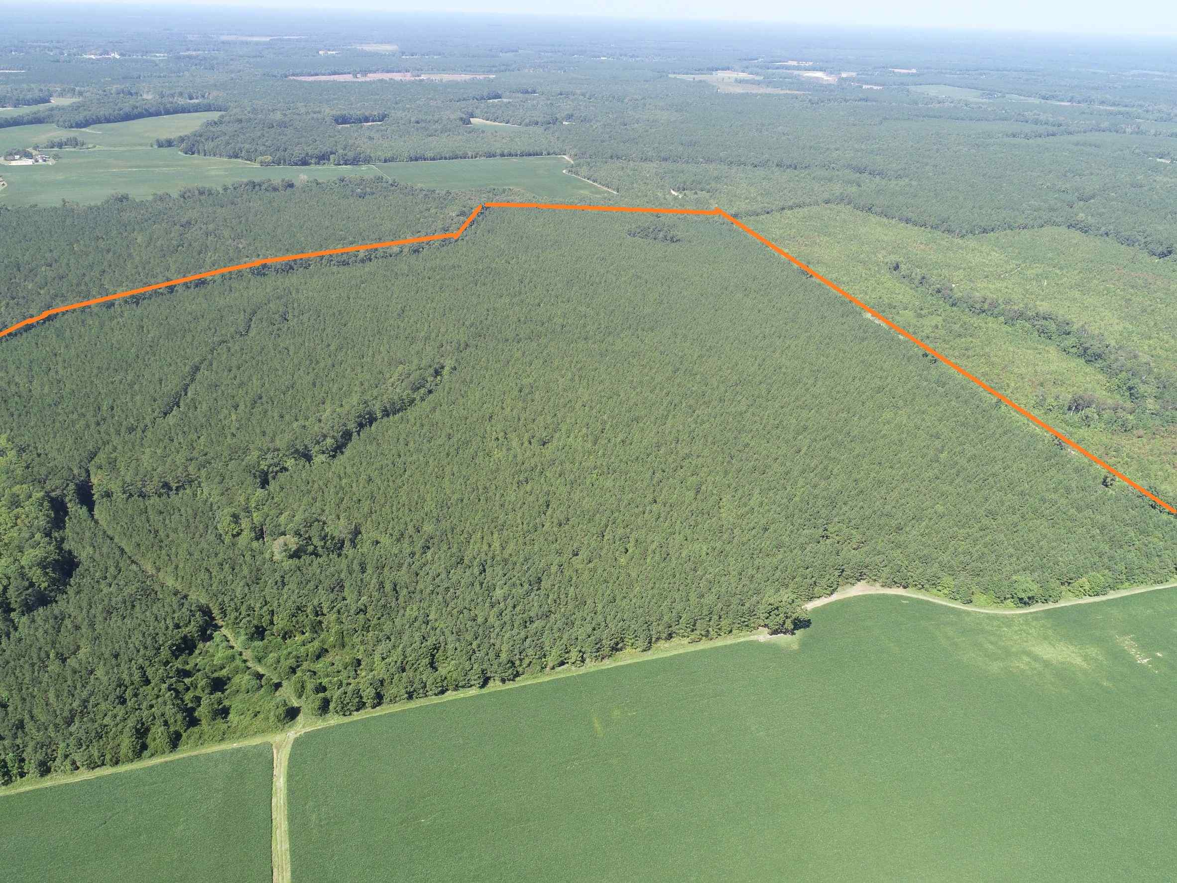 Advance Land and Timber Land for sale property_imgs/4~144.jpg