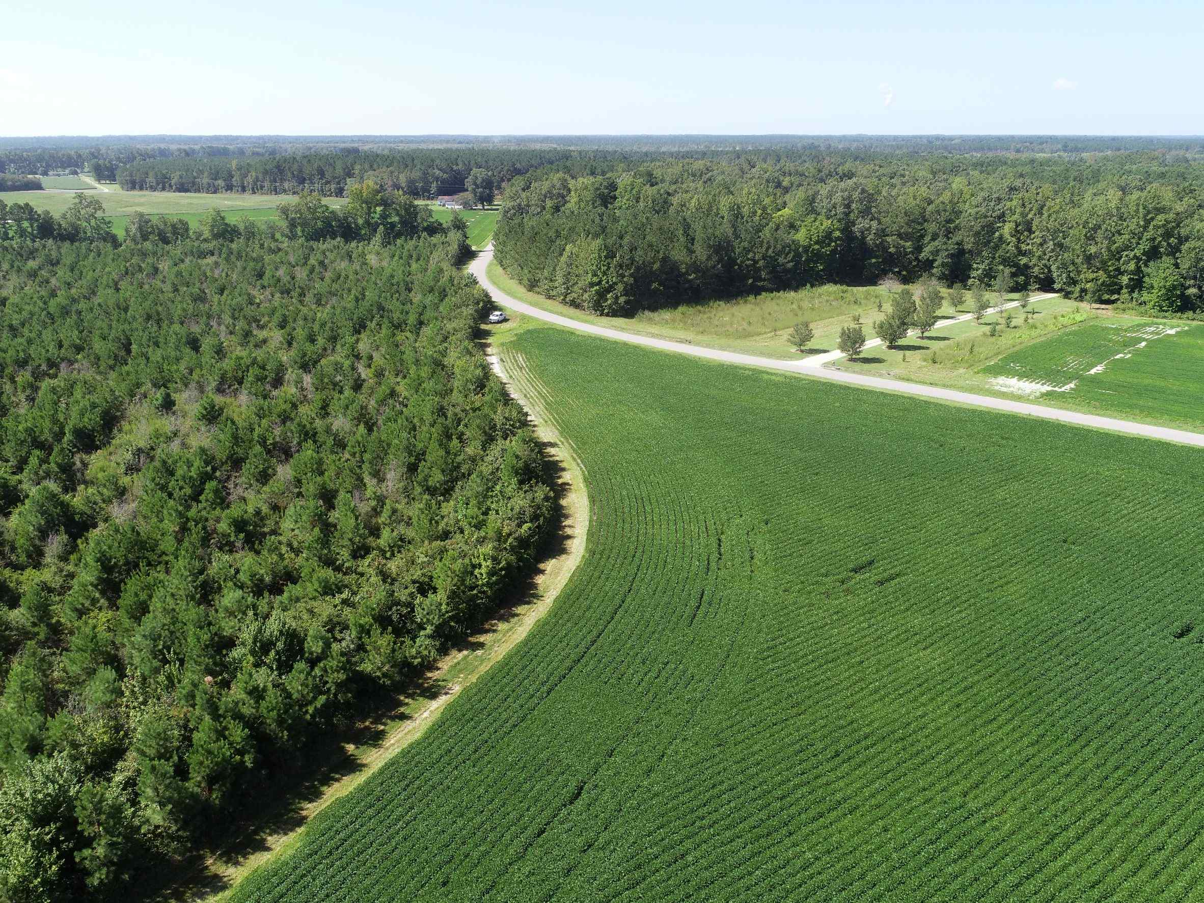 Advance Land and Timber Land for sale property_imgs/4~145.jpg