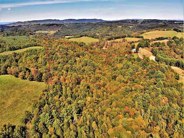 Advance Land and Timber Land for sale property_imgs/4~146.jpg