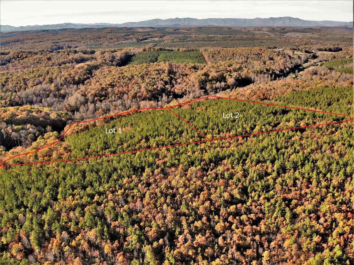 Advance Land and Timber Land for sale property_imgs/4~148.jpg