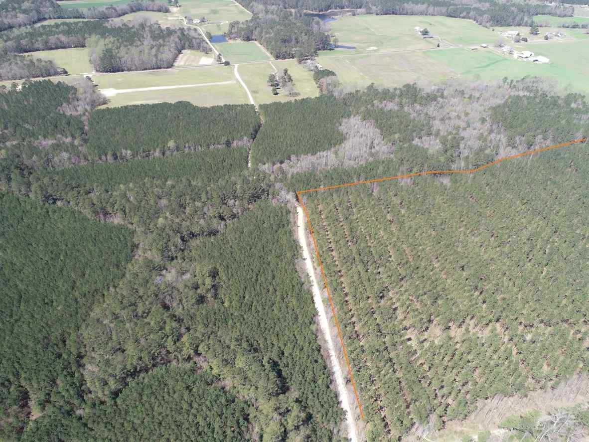 Advance Land and Timber Land for sale property_imgs/4~172.jpg