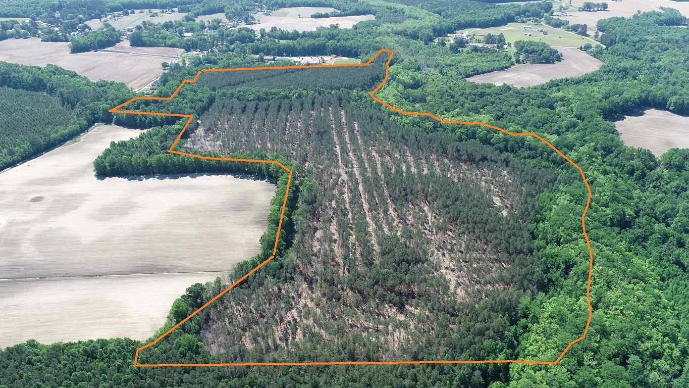 Advance Land and Timber Land for sale property_imgs/4~189.jpg